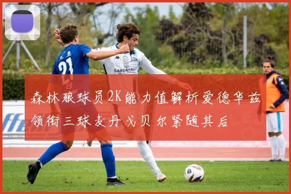 森林狼球员2K能力值解析爱德华兹领衔三球麦丹戈贝尔紧随其后