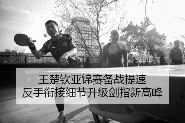 王楚钦亚锦赛备战提速 反手衔接细节升级剑指新高峰